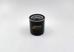 ������ �������� BIG Filter GB-141 GB141 ����