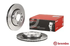 ���� ��������� ������ ������������� (�������� 2��) Brembo 09.9582.10 09958210 ����