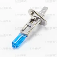 ����� H1 55W 12V Carberry ���������� ������� 31CA11PL 31CA11PL ����