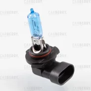 �������� HB3 12V 60W P20d 31CA1PL ����