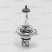 ����� H4 12V (60,55W) Dayamp, Night (F0099336) Carberry [31CA7] 31CA7 ����