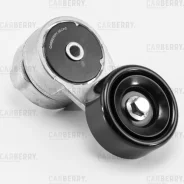 ���������� ��������. ����� � ������� Carberry 55CA2 55CA2 ����