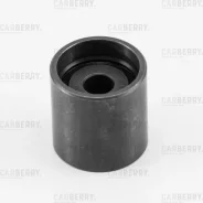 ����� �������� ����� ��� Carberry 55CA31 55CA31 ����