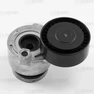 ���������� ��������. ����� � ������� Carberry 55CA49 55CA49 ����