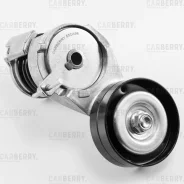 ���������� ��������. ����� � ������� Carberry 55CA98 55CA98 ����