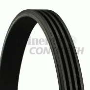 ������ 4PK1520 Contitech Contitech 4PK1520 ����