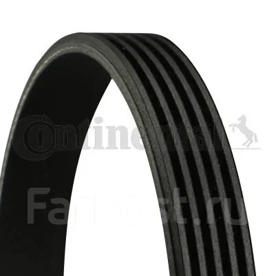 ������ ������������ Contitech 5PK868Elast 5PK868ELAST ����