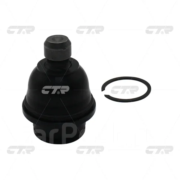 ������� ����� CTR CBN83 CBN83 ����