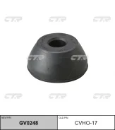 ������ ���� �������� | ����� ����/��� | / CVHO-17 CTR GV0248 GV0248 ����