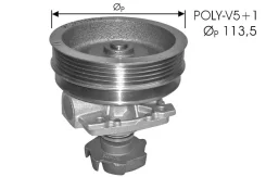 ������� ����� DOLZ S218 S218 ����