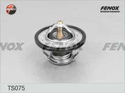 ��������� (+82�C) Fenox TS075 TS075 ����