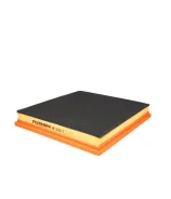 ������ Filtron AP 003/7 Filtron AP0037 AP0037 ����