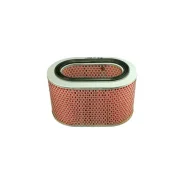 ������ ��������� (�������) FRAM CA4369 FRAM CA4369 ����