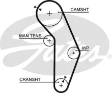 ������ ��� 121YU29 5352XS Gates 5352XS ����