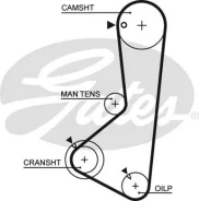 ������ ��� 5372 XS 122x19 Gates 5372XS ����