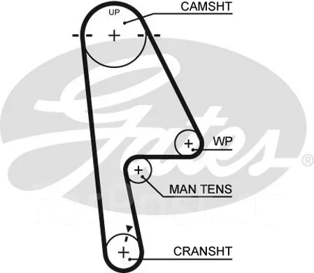 ������ ��� Gates 5529XS 5529XS ����