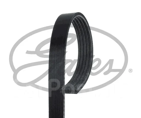 ������ ���������� Gates 5PK978 5PK978 ����
