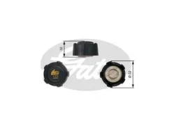 ������ ��������������� ����� ������� ���������� (R0012486) Gates [RC223] RC223 ����