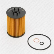 ������ �������� BMW 5 (E60/E65)/X5 (E53) 03- Green Filter OK0126 ����