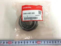 �������� ��������� 22810RPF003 ����
