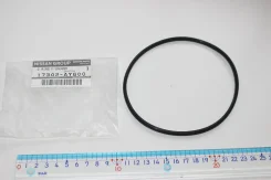 ��������� ���������� ������ [17342AY600] 17342AY600 ����