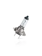 ����� H7 24V 70W PX26d MasterLife Philips 13972MLC1 13972MLC1 ����