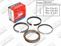 ������ ��������� STD 1G-E/GE 75/1,5/1,5/4 TP 35858 RIK ���. 28690 STD 28690STD ����