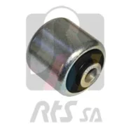 ����������� ������ BMW 5(E34)/6(E24)/7(E32)/X1(E83)/X�5(E53) 81- �����. RTS 01709524 ����