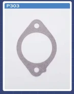 ��������� ���������� P303 ���� TAMA P303 ����