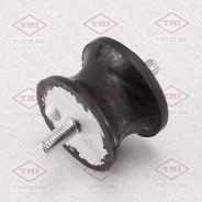 ����� ��� BMW 3 (E36)/5 (E39) -98 Tatsumi TEG1270 ����