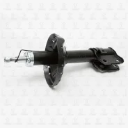 ����������� �������� GAS R TORR DV1181R DV1181R ����