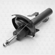 ����������� �������� GAS R TORR DV1189R DV1189R ����