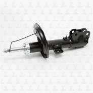 ����������� �������� GAS R TORR DV1244R DV1244R ����