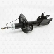 ����������� �������� GAS R TORR DV1250R DV1250R ����