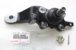 ������� ����� �������� ������ ������ (��������� Sequoia) 4333039466 4333039466 ����