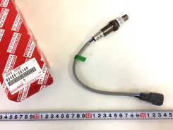 ����������� ������ 8946526140 8946526140 ����