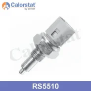 ����������� ������� ���� Renault Logan Vernet RS5510 ����