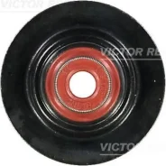 �������� ������������ 703440600 Victor Reinz 703440600 ����