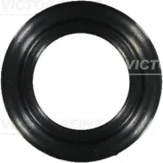 ������ �������������� [10x22.4x3 Victor Reinz 703657600 ����