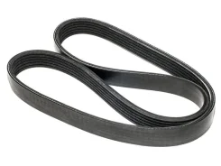������ ��������� | Dayco | 6PK2590 6PK2590 ����