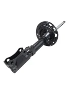 ����������� | ��� ���� | CTR GY1538G CYT-202-G GY1538G ����