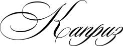 Продавец-консультант