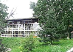 Горничная, камердинер