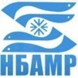 Старший механик