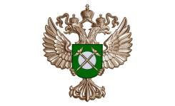 Специалист 1 разряда отдела контроля органов власти
