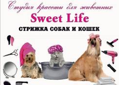 Грумер