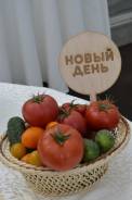 Продавец-кассир