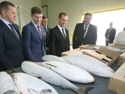 Рыбак прибрежного лова