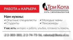 Продавец-мерчендайзер