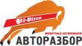 Bi-Bizon